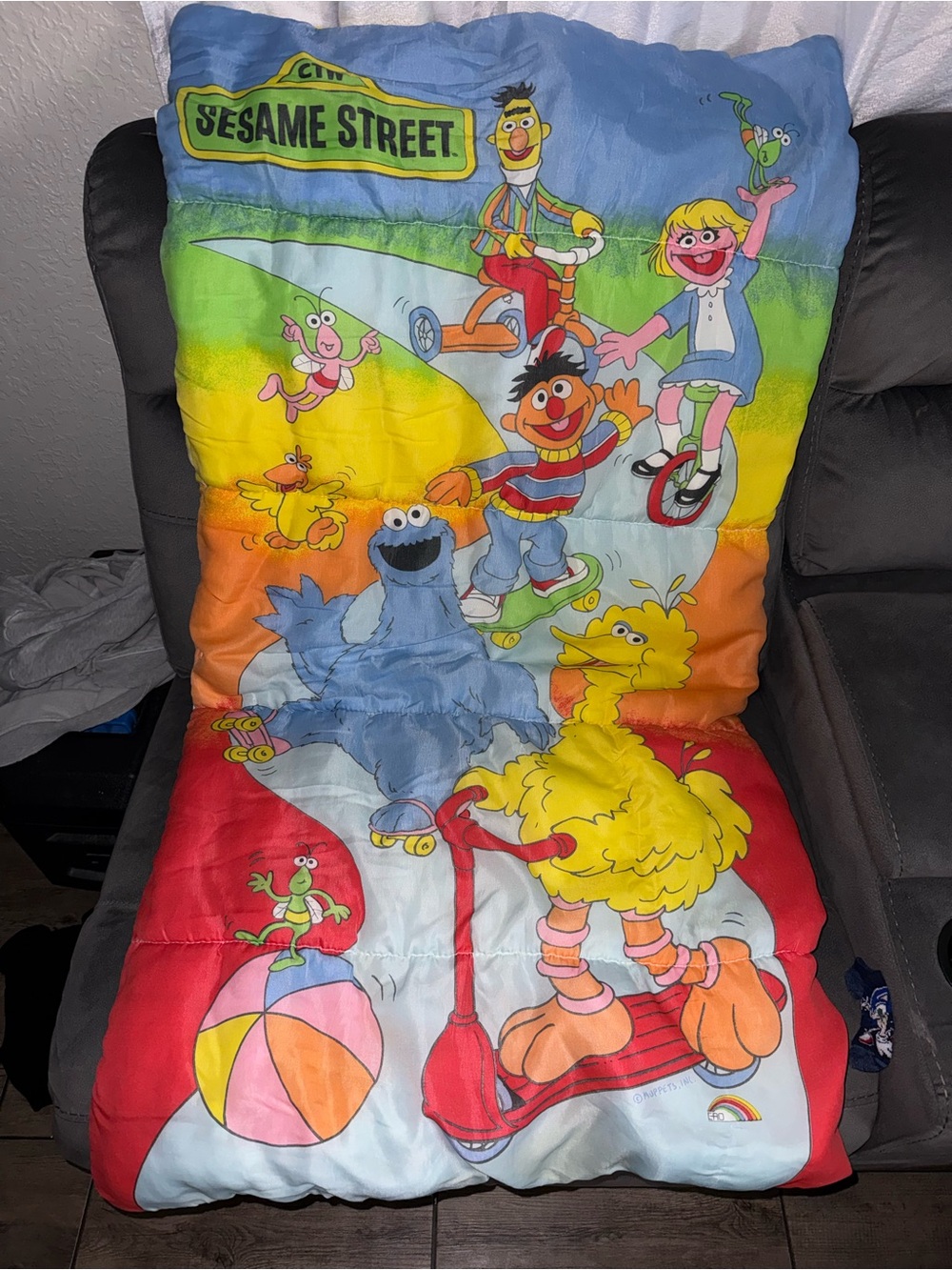 Vintage sesame street sleeping back comforts to blanket so adorable